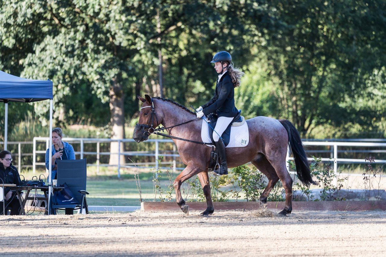 Bild 9 - Pony Akademie Turnier